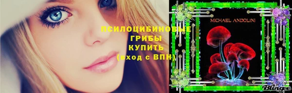 крисы Аркадак