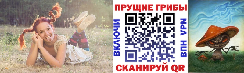 купить наркотики сайты  Давлеканово  ОМГ ОМГ сайт  Галлюциногенные грибы Psilocybe 